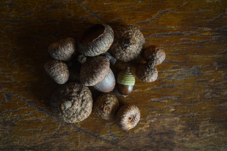 Acorns on a wooden table. Autumn background. Top view.の写真素材