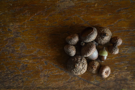 Acorns on a wooden background. Top view. Copy space.の写真素材