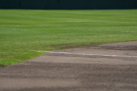 Boundaries and white lines between the outfield grass and infield ground of a baseball fieldの写真素材