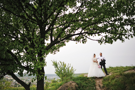 wedding coupleの写真素材