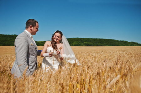 wedding couple loving on wheatの写真素材
