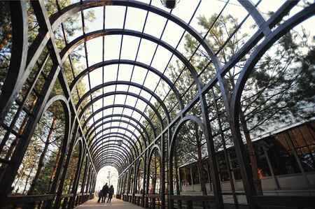 NOVI PETRIVTSI, UKRAINE - FEBRUARY 2014:  residence of ex-president of Ukraine Viktor Yanukovichのeditorial素材