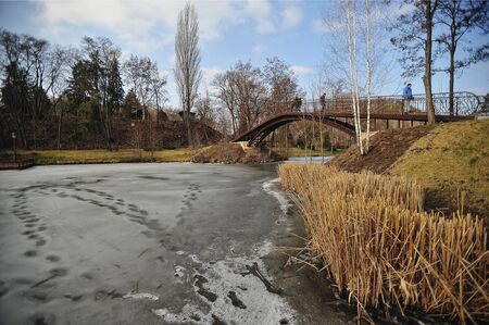NOVI PETRIVTSI, UKRAINE - FEBRUARY 2014:  residence of ex-president of Ukraine Viktor Yanukovichのeditorial素材
