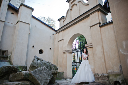 Portrait of brideの写真素材