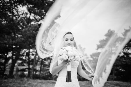 brunette bride with veil and bouquetの写真素材