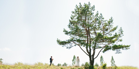 wedding couple and one pine tree background light skyの写真素材