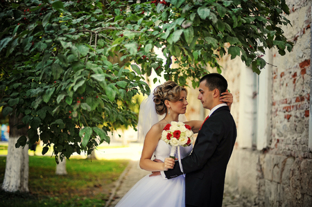 Young and gorgeus wedding couple on autumn forestの写真素材