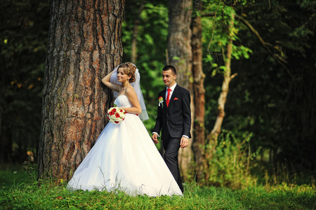 Young and gorgeus wedding couple on autumn forestの写真素材