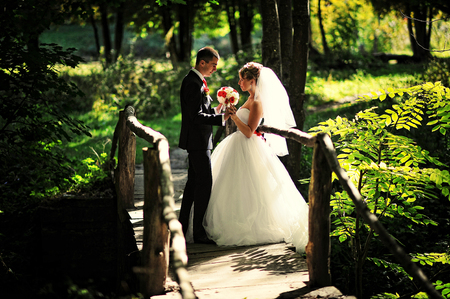 Wedding couple on forest bridge at autumn sunny dayの写真素材