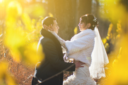 Wedding couple on majestic yellow leaves wood on sunlightsの写真素材