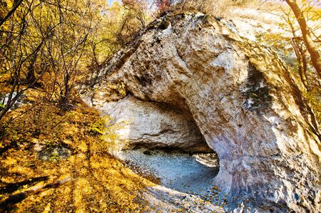 Limestone mountain cave at  yellow leaves forestの写真素材