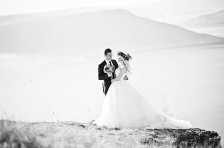 Charming bride in a wreath and elegant groom on landscapes of mountains, water and blue sky at sunny weatherの写真素材