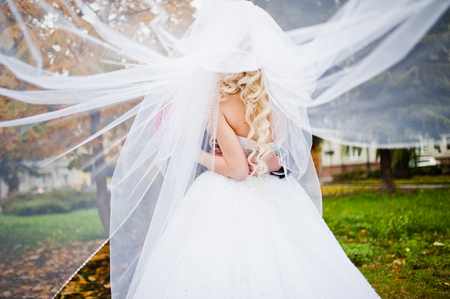 Amazing wedding couple under veil in loveの写真素材