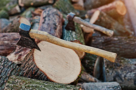 Two axes  in stumps background chopped firewood.の写真素材