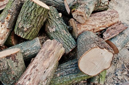 A pile of chopped wood, sawn wood