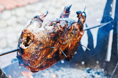 Roasting barbecue is prepared of a ram, lamb or sheepの写真素材