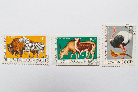 UZHGOROD, UKRAINE - CIRCA MAY, 2016: Collection of postage stamps printed in USSR shows animals from Askania Nova nature reserve (Ukraine), circa 1968のeditorial素材