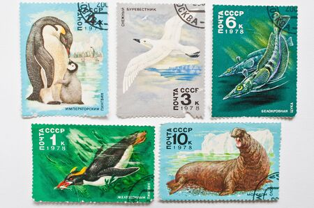 UZHGOROD, UKRAINE - CIRCA MAY, 2016: Collection of postage stamps printed in USSR shows animals from Antarctica, circa 1978のeditorial素材