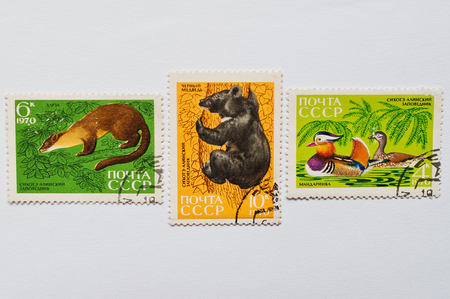 UZHGOROD, UKRAINE - CIRCA MAY, 2016: Collection of postage stamps printed in USSR shows animals from Sikhote-Alin Nature Reserve, circa 1970のeditorial素材