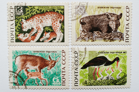 UZHGOROD, UKRAINE - CIRCA MAY, 2016: Collection of postage stamps printed in USSR shows different wild animals from Bialowieza Forest or Belovezhskaya Pushcha (Belarus), circa 1969のeditorial素材