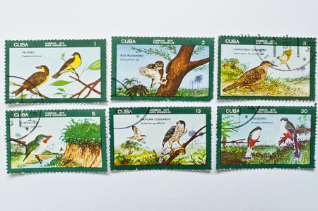UZHGOROD, UKRAINE - CIRCA MAY, 2016: Collection of postage stamps printed in Cuba correos shows birds series, circa 1976のeditorial素材