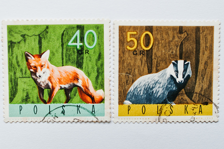 UZHGOROD, UKRAINE - CIRCA MAY, 2016: Collection of postage stamps printed in Poland shows fox and badger, circa 1965のeditorial素材