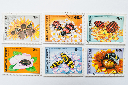 UZHGOROD, UKRAINE - CIRCA MAY, 2016: Collection of postage stamps printed in Hungary, shows different types of insects and beetle, circa 1980のeditorial素材