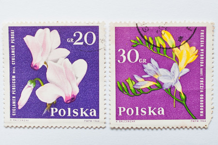 UZHGOROD, UKRAINE - CIRCA MAY, 2016: Collection of postage stamps printed in Poland, shows orchid flowers, circa 1964のeditorial素材