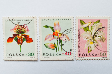 UZHGOROD, UKRAINE - CIRCA MAY, 2016: Collection of postage stamps printed in Poland, shows orchid flowers, circa 1965のeditorial素材
