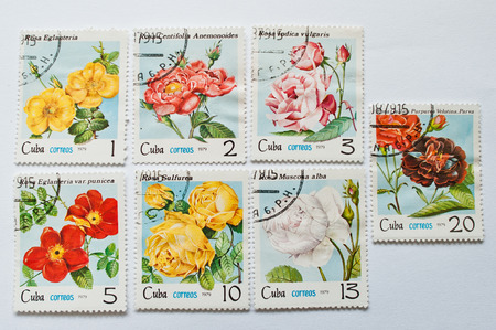 UZHGOROD, UKRAINE - CIRCA MAY, 2016: Collection of postage stamps printed in Cuba, shows different rose flowers, circa 1979のeditorial素材