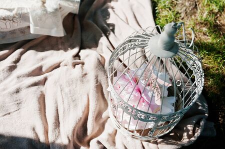 Picnic decorated bird cage on grass near tableの写真素材