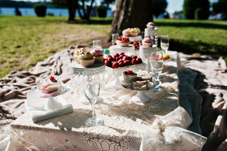 Picnic table with decor on grass with macaroon, strawberry and cup cake