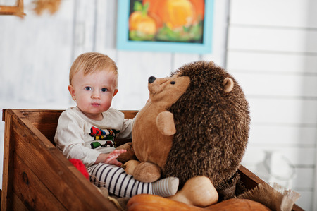 Young caucasian baby boy sitting on wheelbarrow and pumpkin decorの写真素材