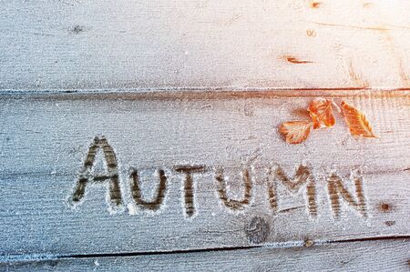 Autumn written on a wooden background with frostsの写真素材