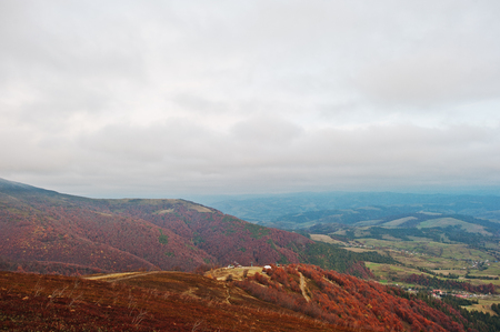 Scenic view of mountain autumn red and orange forests covering by fog at Carpathian mountains on Ukraine, Europe.の写真素材