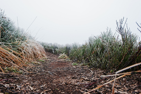 Close up of trail in the mountains with frozen grassの写真素材