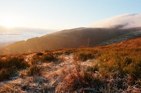 Amazing picturesque landscape of Carpathian mountains on fog and morning sunrise. Beauty of world on autumnの写真素材