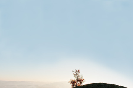 Alone three red tree on top of mountain background horizon. Amazing shot of beauty nature world. Art photo.の写真素材