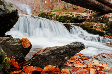 Mountain river rapids at autumn majestic forest with fallen leaves under the wooden bridge.の写真素材