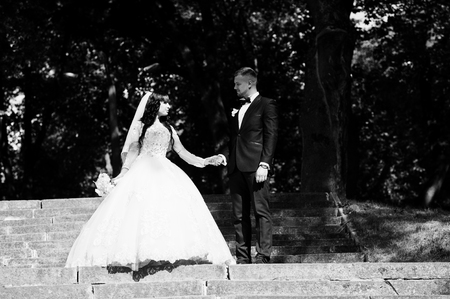Nifty wedding couple at stairs on park at sunny wedding day. Black and white photoの写真素材