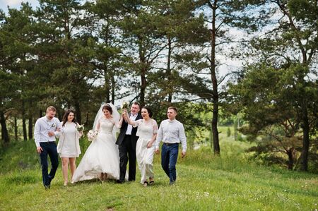 Funny and happy wedding couple with bridesmaids and best mans.の写真素材