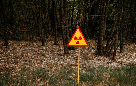 Radiation polution sign background dead forest on Chernobyl, Ukraine.の写真素材