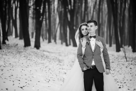 Young stylish wedding couple at forest on winter day. Loving newlyweds on snowy weather. Black and white photo.の写真素材