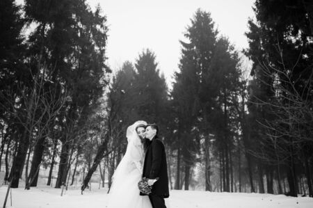 Young stylish wedding couple at forest on winter day with fog. Loving newlyweds on snowy weather. Black and white photo.の写真素材