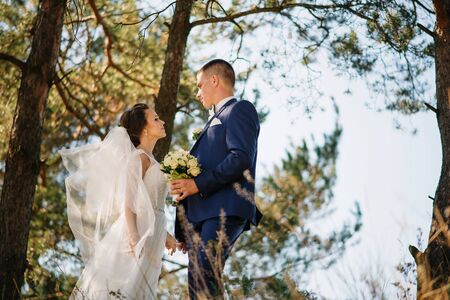 Loving young wedding couple in love at sunny forest.の写真素材