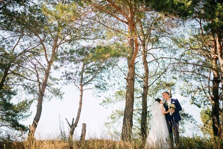 Loving young wedding couple in love at sunny forest.の写真素材