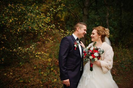Wedding couple in love at autumn pine wood.の写真素材