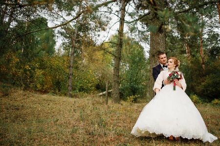 Wedding couple in love at autumn pine wood.の写真素材