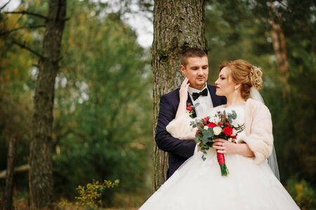 Wedding couple in love at autumn pine wood.の写真素材