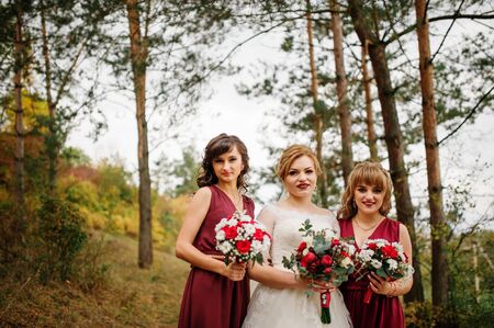 Bride with bridesmaids on red dresses at autumn pine wood.の写真素材